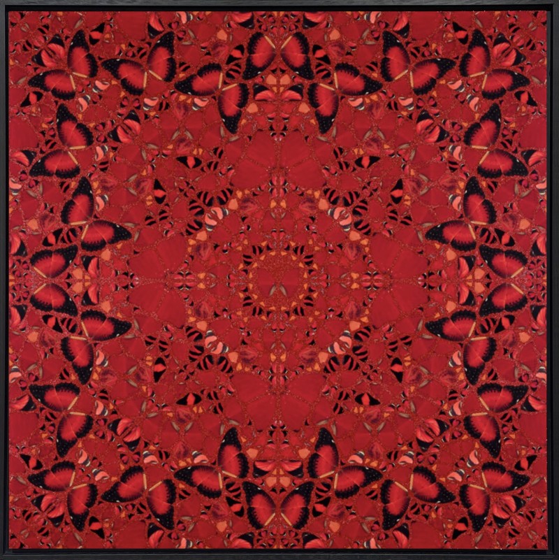 Damien Hirst - The Empresses: H10-2 Nūr Jahān (2502/3041) FRAMED