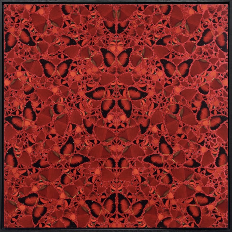 Damien Hirst - The Empresses: H10-3 Theodora  (2502/3315) FRAMED