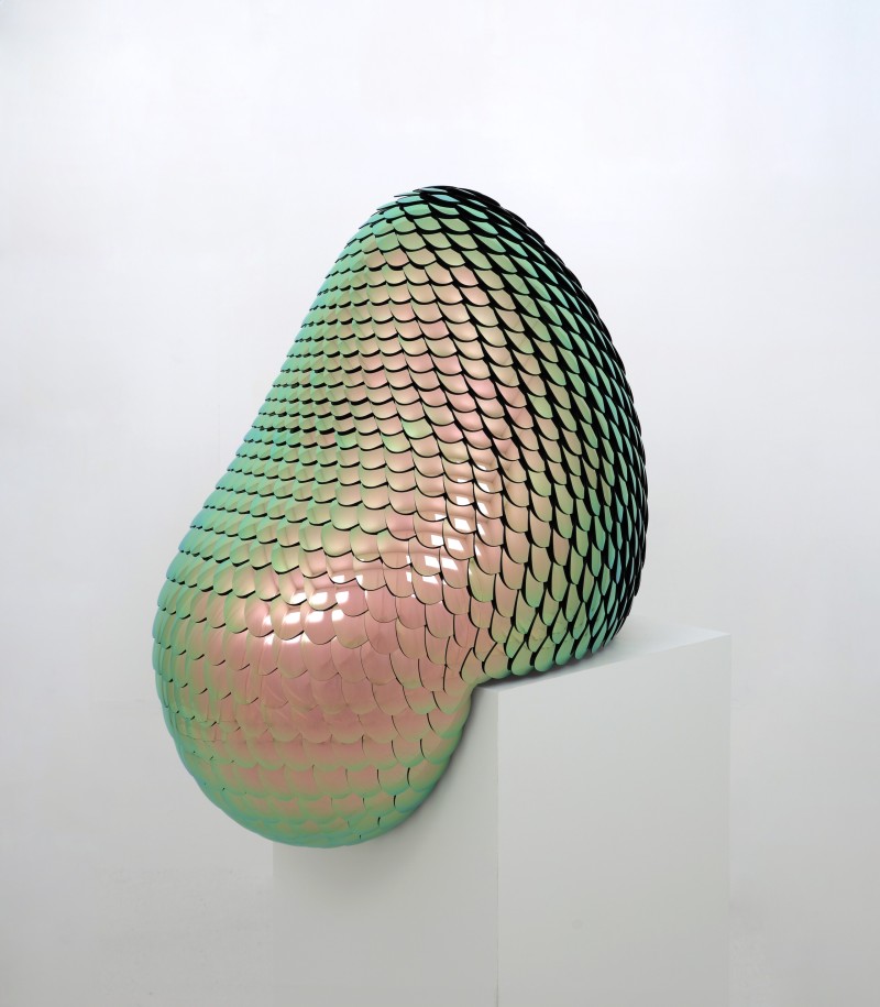 Eelco Hilgersom - Satisfied - champagne