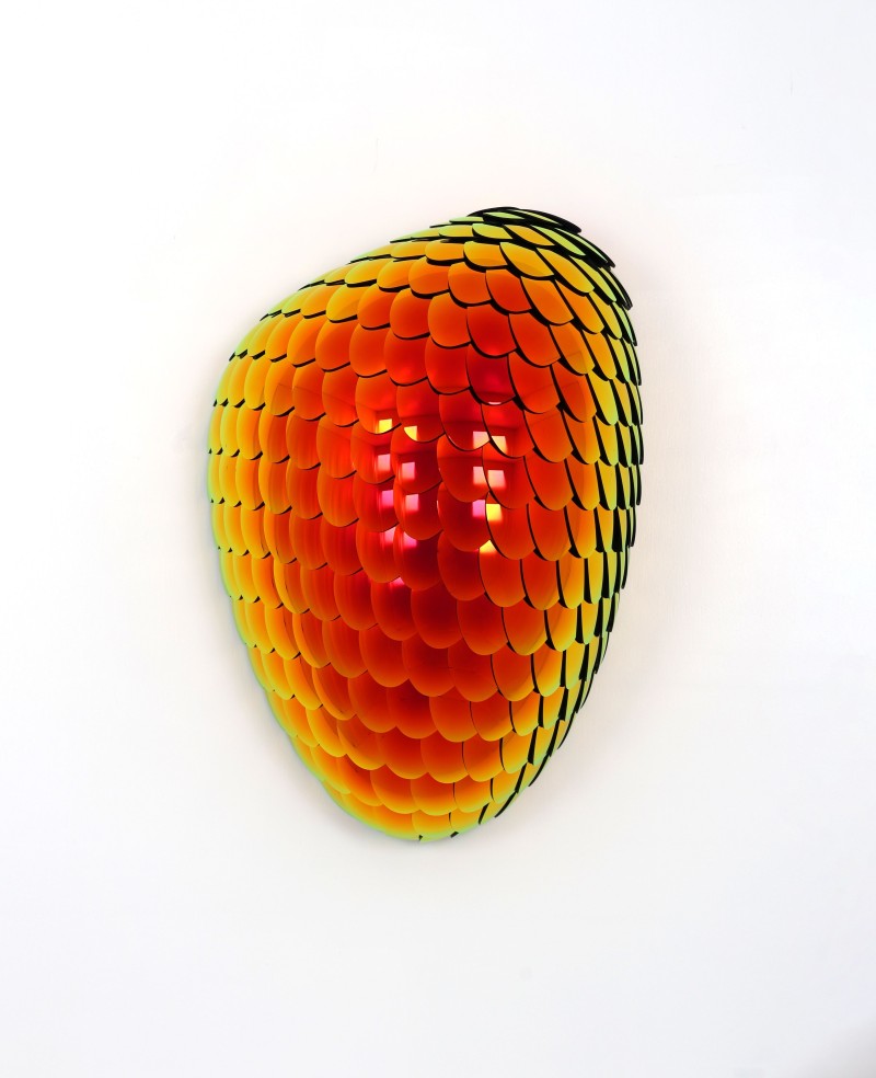 Eelco Hilgersom - Habitat - Fierce (small) red