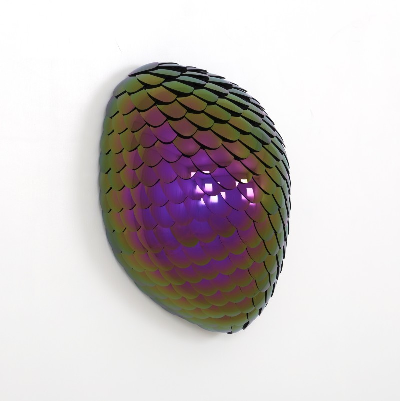 Eelco Hilgersom - Habitat - Braver (small) purple (2/8)