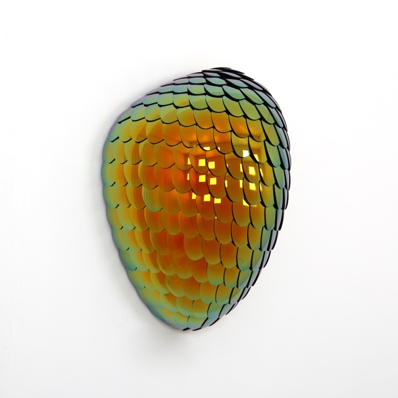 Eelco Hilgersom - Habitat - Fierce (small) orange (2/8)