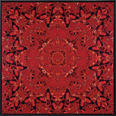 Damien Hirst - The Empresses: H10-2 Nūr Jahān (2502/3041) FRAMED