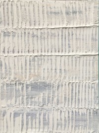 Robbert Fortgens - Z.T.