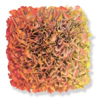 Zhuang Hong Yi - Flowerbed Colorchange