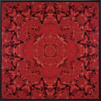 Damien Hirst - The Empresses: H10-2 Nūr Jahān (2502/3041) FRAMED