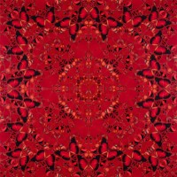 Damien Hirst - The Empresses: H10-2 Nūr Jahān
