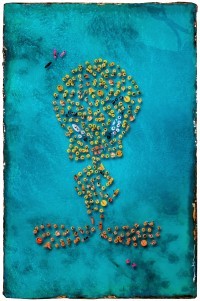 Bram Reijnders - Floating paradise