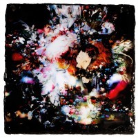 Bram Reijnders - Transmogification
