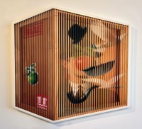 Patrick Rubinstein - Surreal box (2/8)