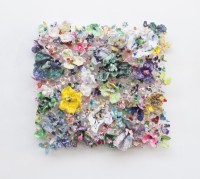 Stefan Gross - Flower Bonanza