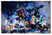 Bram Reijnders - Play Alive - Blue