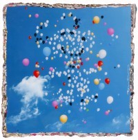 Bram Reijnders - Flying to freedom