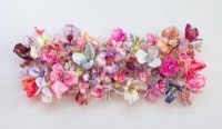 Stefan Gross - Flower Bonanza - Hotpink