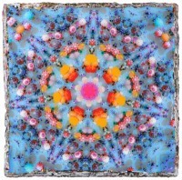 Bram Reijnders - Celestial Paradise