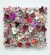 Stefan Gross - Flower Bonanza