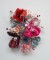 Stefan Gross - Flower Bonanza - Red Mint