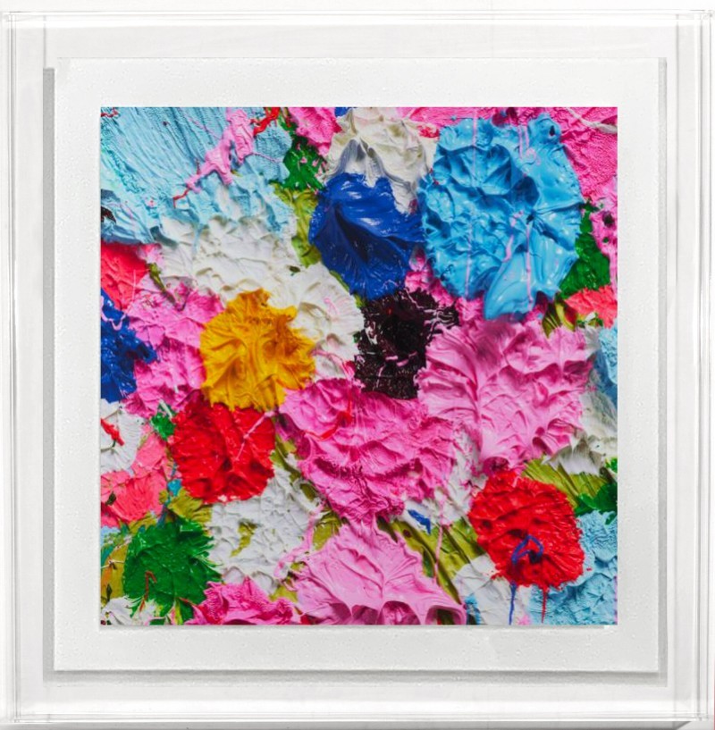 Damien Hirst - Fruitful  (Limited ed.)